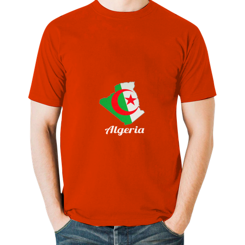 algeria algier flag africa country 2